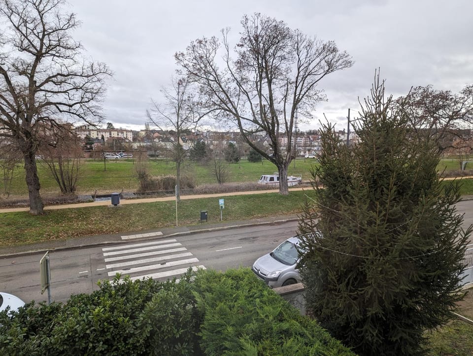 Natural landscape, Garden, Garden view