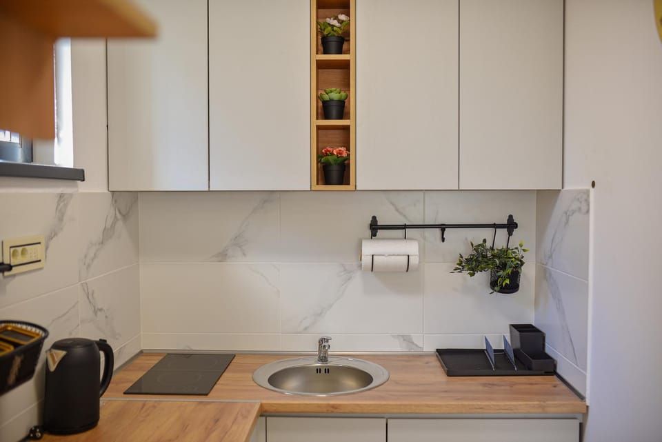 apartman Filipović 2 Apartment in Zlatibor