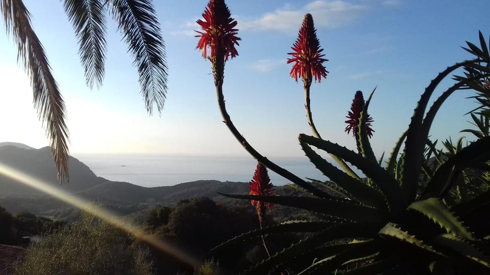 Sea view