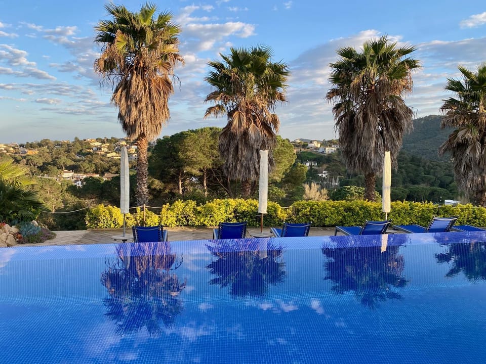 Natural landscape, Garden, Swimming pool, sunbed