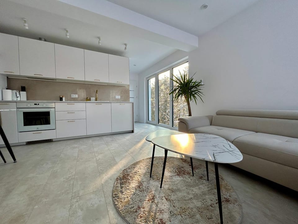 Kitchen or kitchenette, Living room, dishwasher, pet friendly, stove