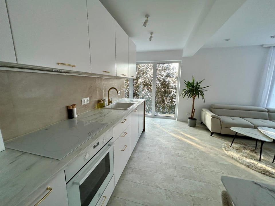 Kitchen or kitchenette, Dining area, dishwasher, stove