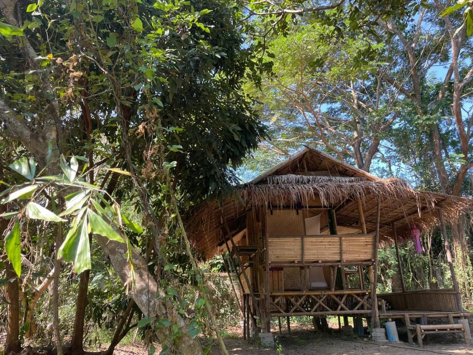 Natural landscape, Garden