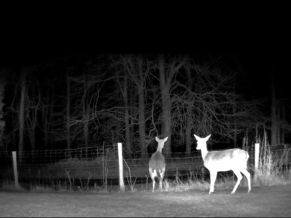 The Bungalow, Forest of Dean House in Forest of Dean