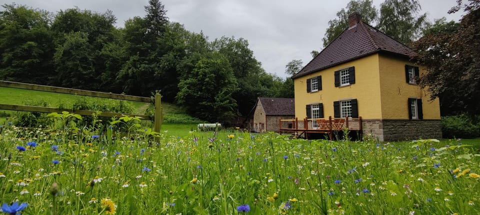 Garden, Garden, View (from property/room), Mountain view