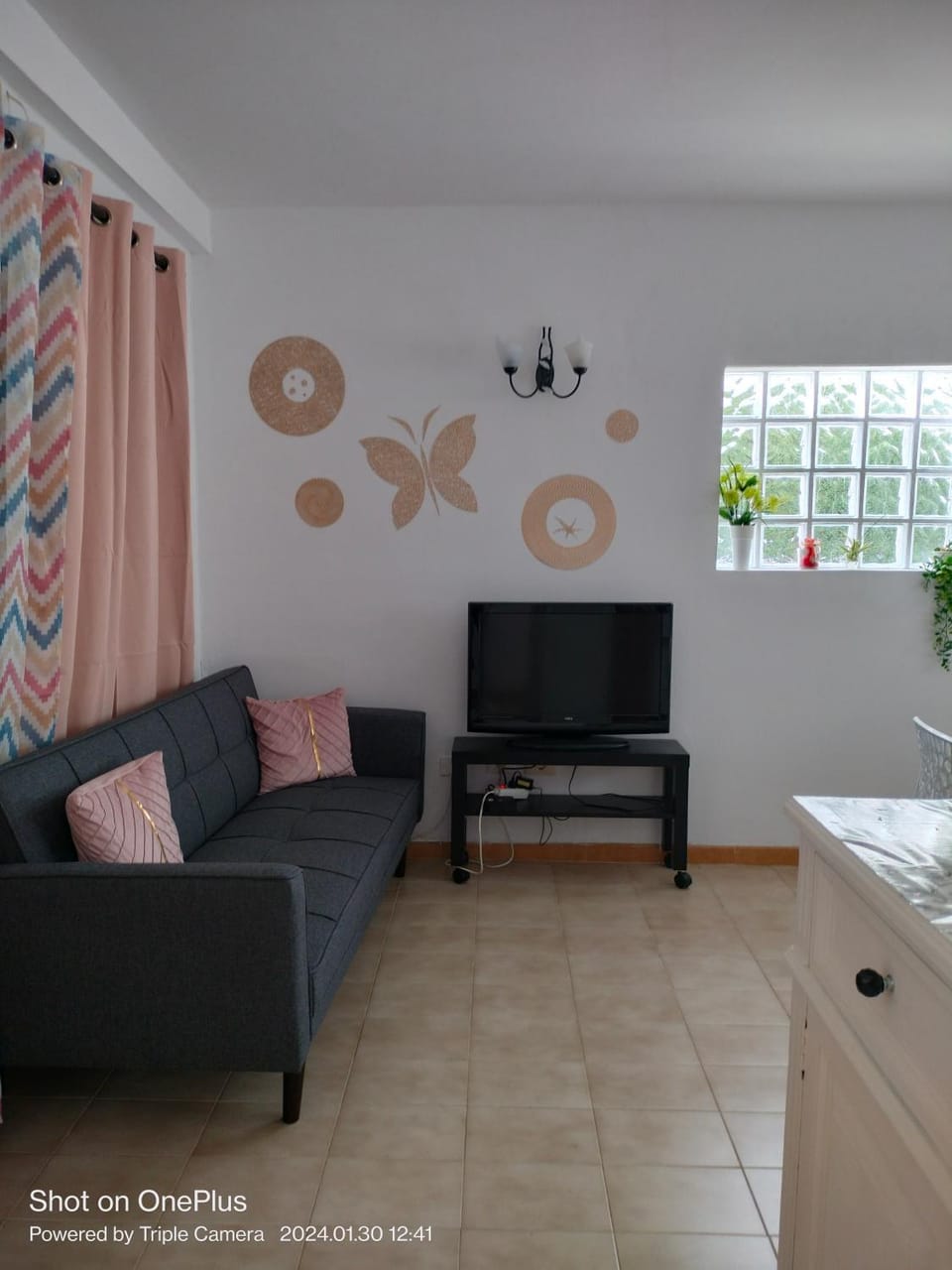 TV and multimedia