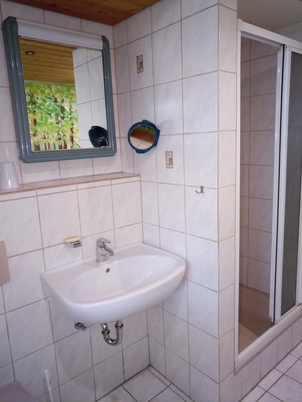 Shower, Bathroom