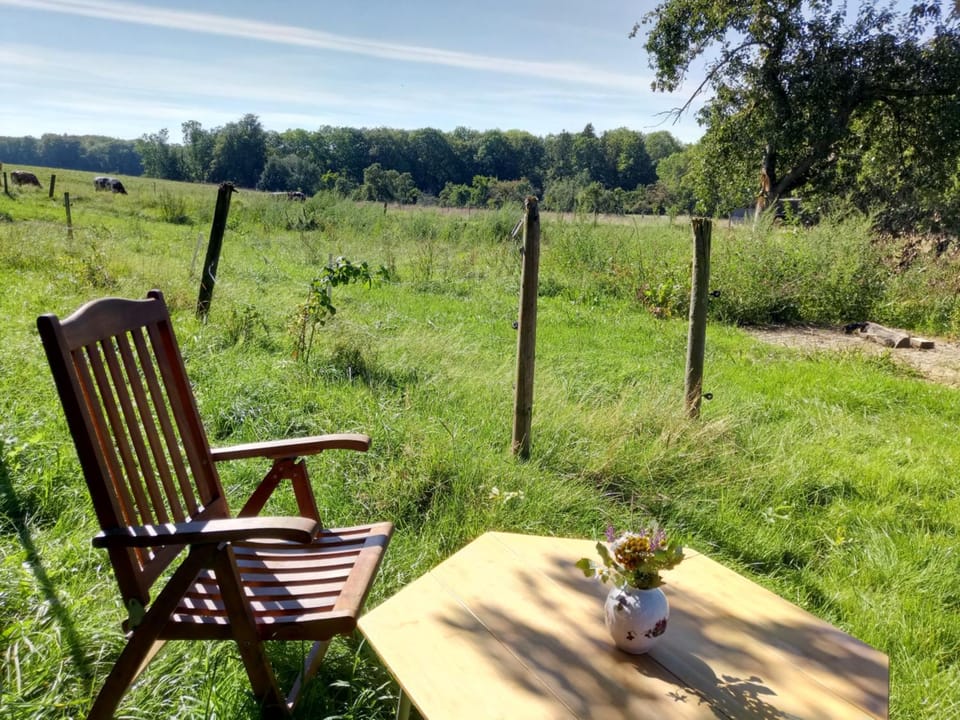 Natural landscape, BBQ facilities, Garden, Dining area, Garden view