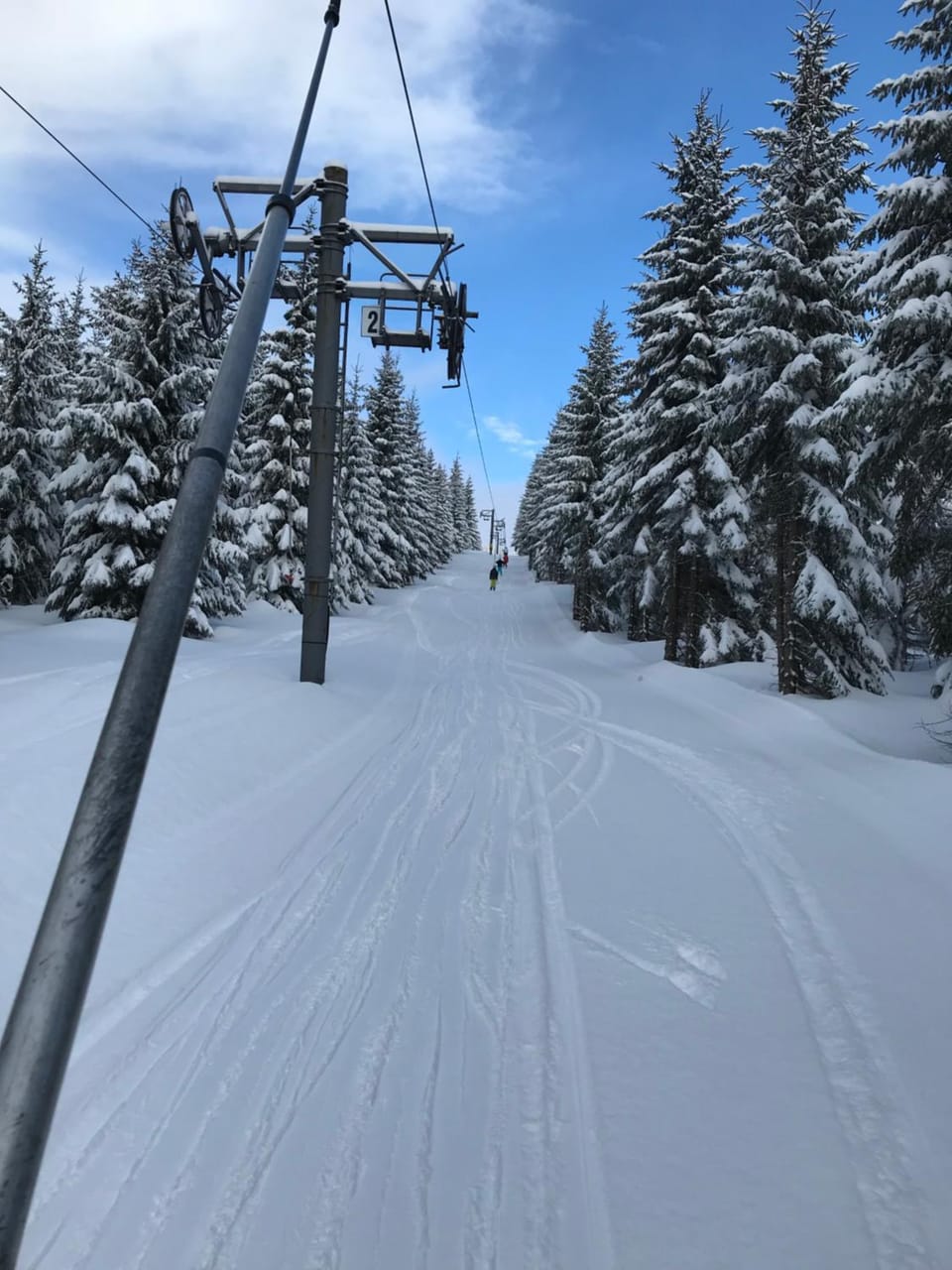 Skiing