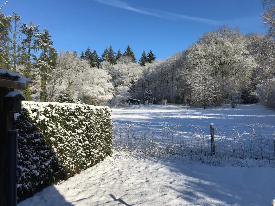 Winter, View (from property/room)