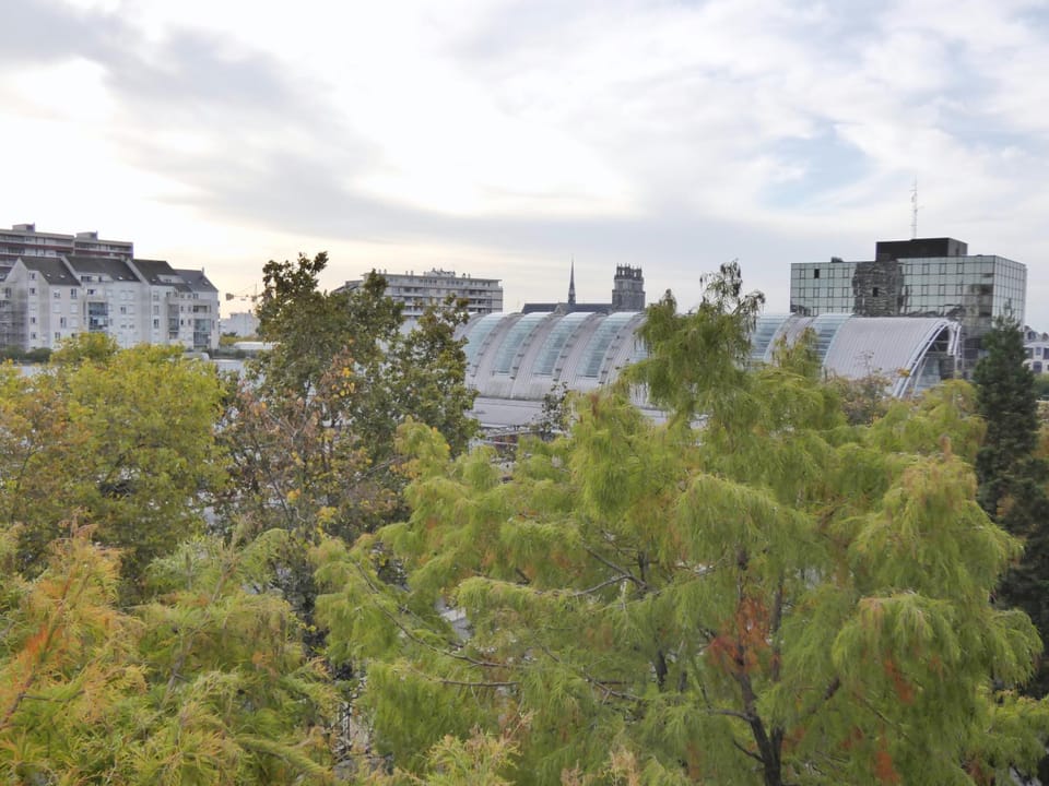 View (from property/room), City view