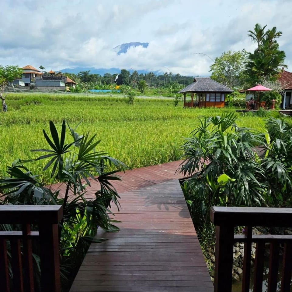 Day, Natural landscape, Garden, Garden view, Mountain view, Mountain view, VIP