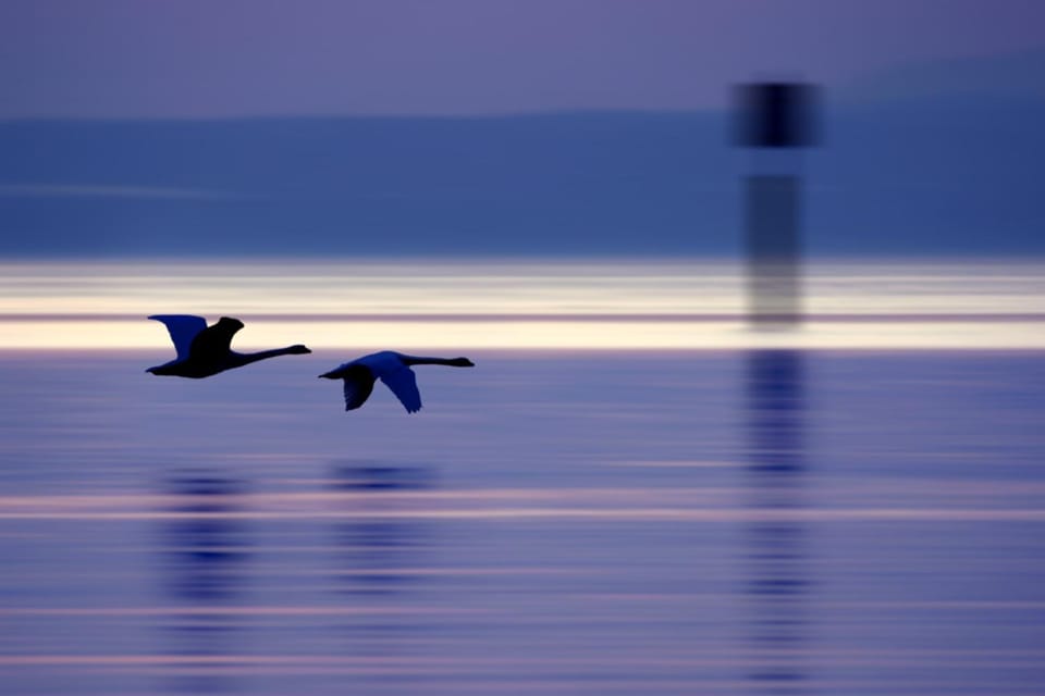 Beach, Lake view