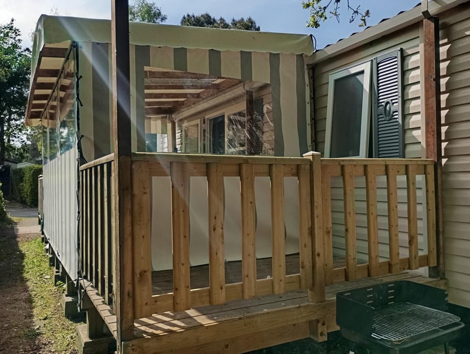 Patio, Day, Garden view