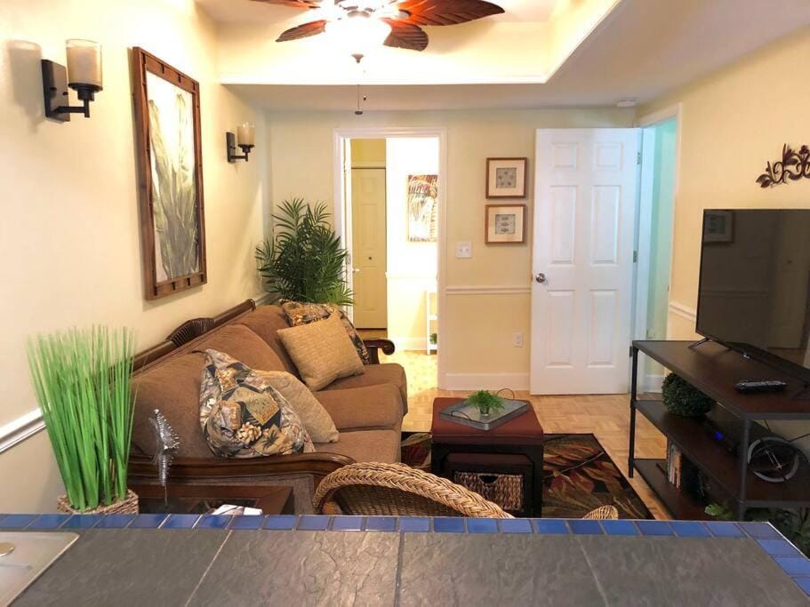 2 Bedroom Apt Overlooking Dunedin Town Square NO KIDS, NO PETS Apartment in Dunedin