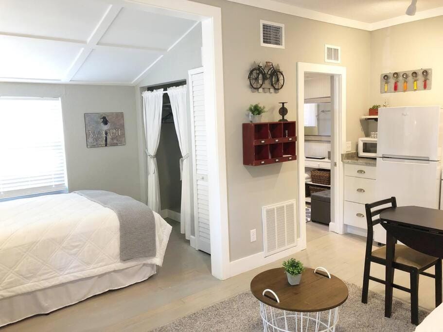 Cozy Apartment Overlooking Downtown and Park NO KIDS, NO PETS Apartment in Dunedin