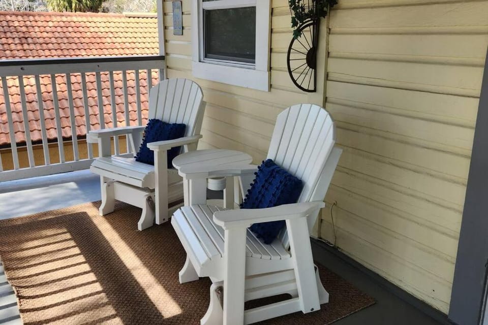 Cozy Apartment Overlooking Downtown and Park NO KIDS, NO PETS Apartment in Dunedin