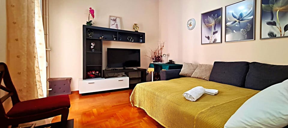 Bed, TV and multimedia, Balcony/Terrace, Living room, air conditioner