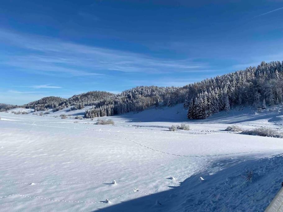 Appmt 4 pers aux pieds des pistes Apartment in Jura