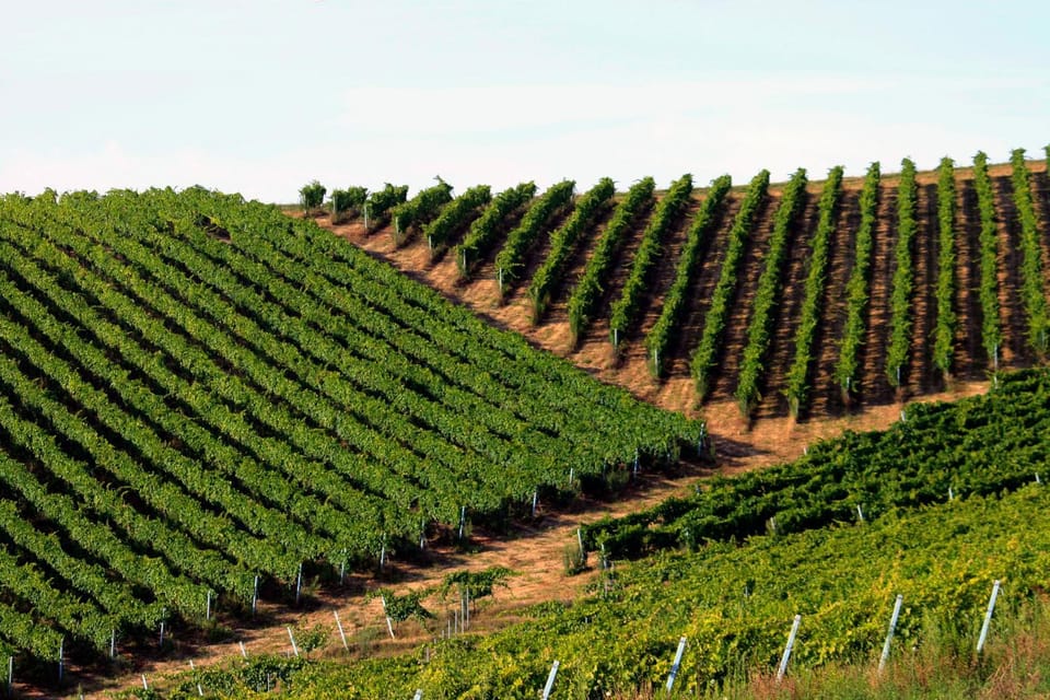 Agriturismo Fara Bed and Breakfast in Marche