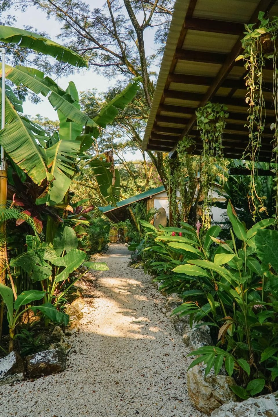 Garden, Garden view