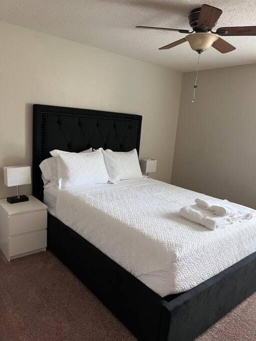 Cozy 3 Bedroom House with Beautiful Fireplace House in Frisco