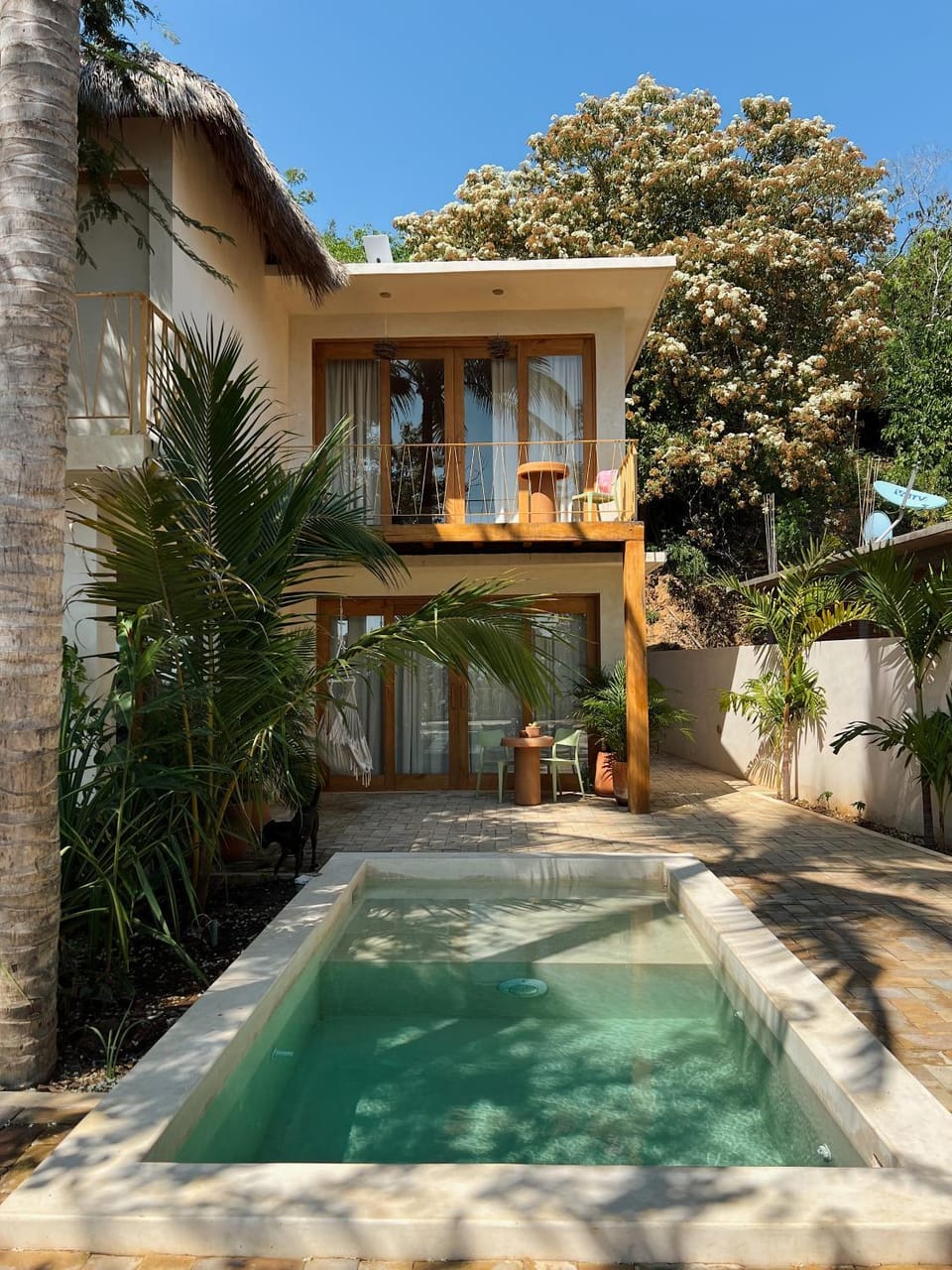 Property building, Patio, Garden, Garden view, Pool view, Swimming pool