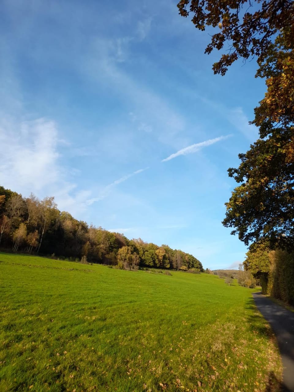 Natural landscape