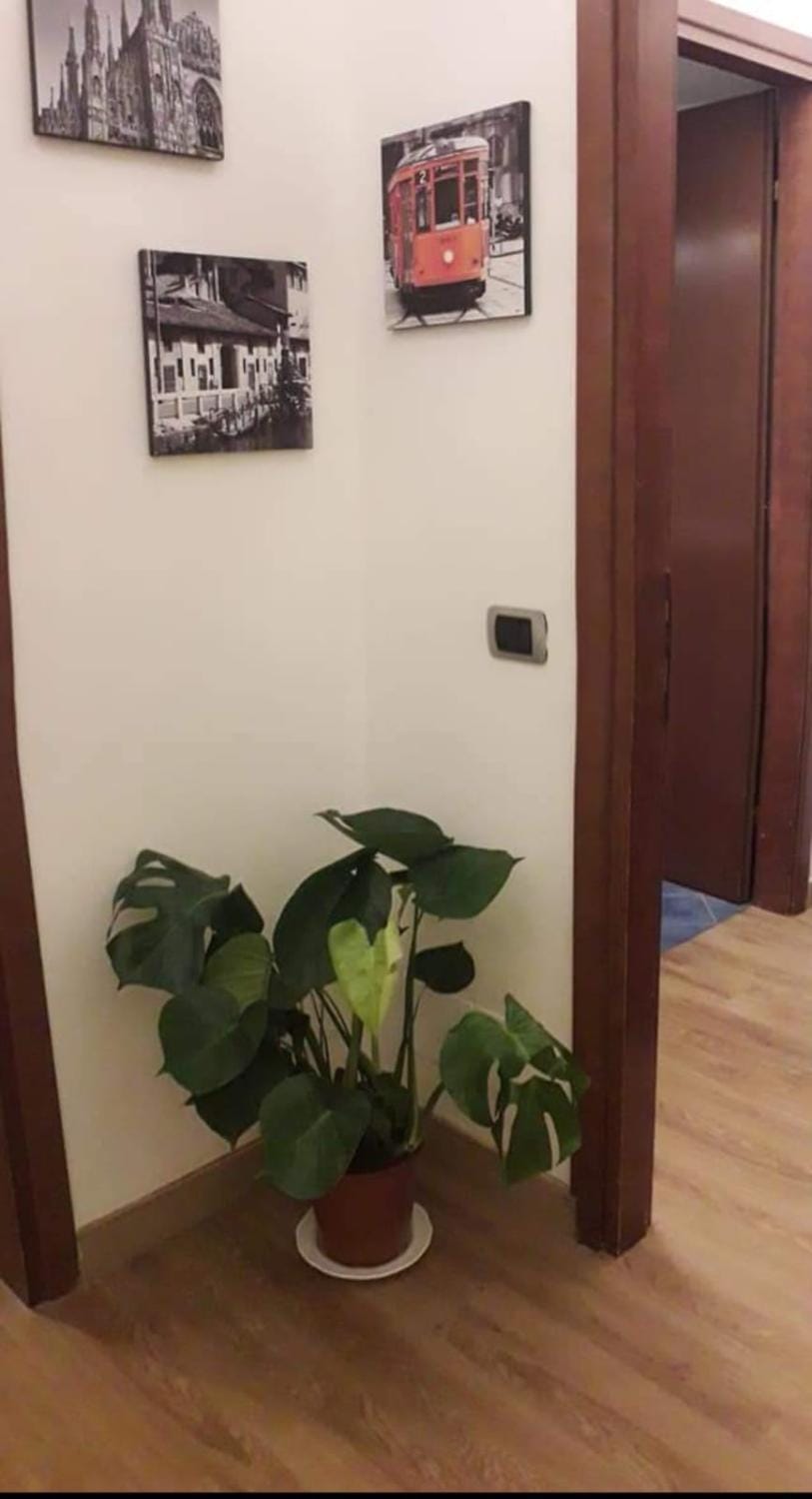 B&B Domobella -- Ripamonti / IEO / PRADA / Bocconi -- Apartment in Milan