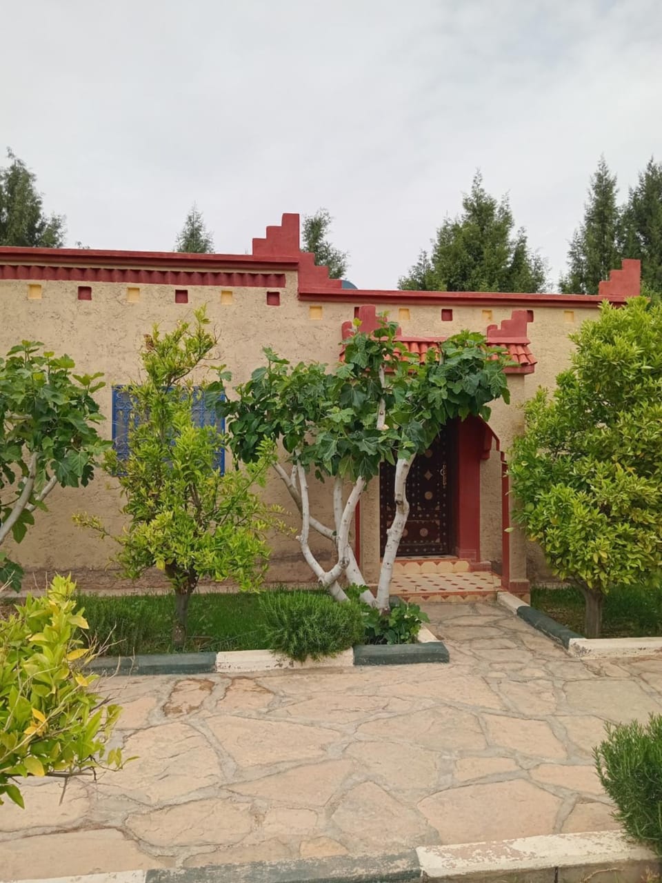 Garden view