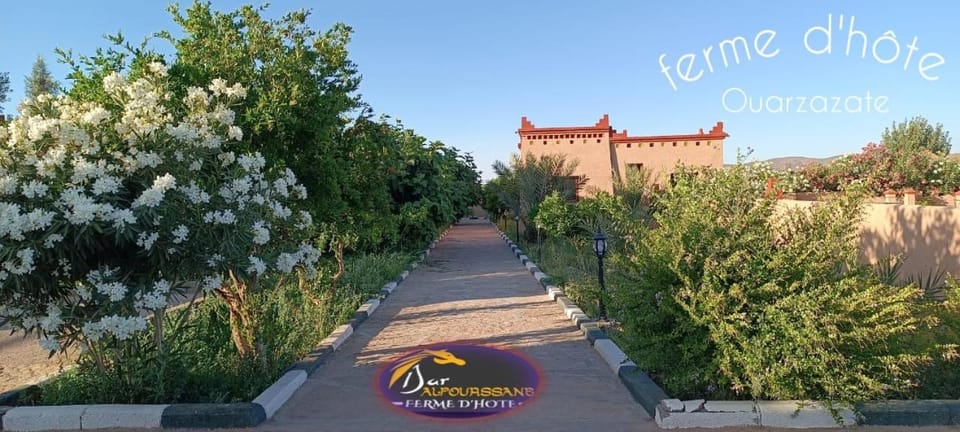 Day, Natural landscape, Street view