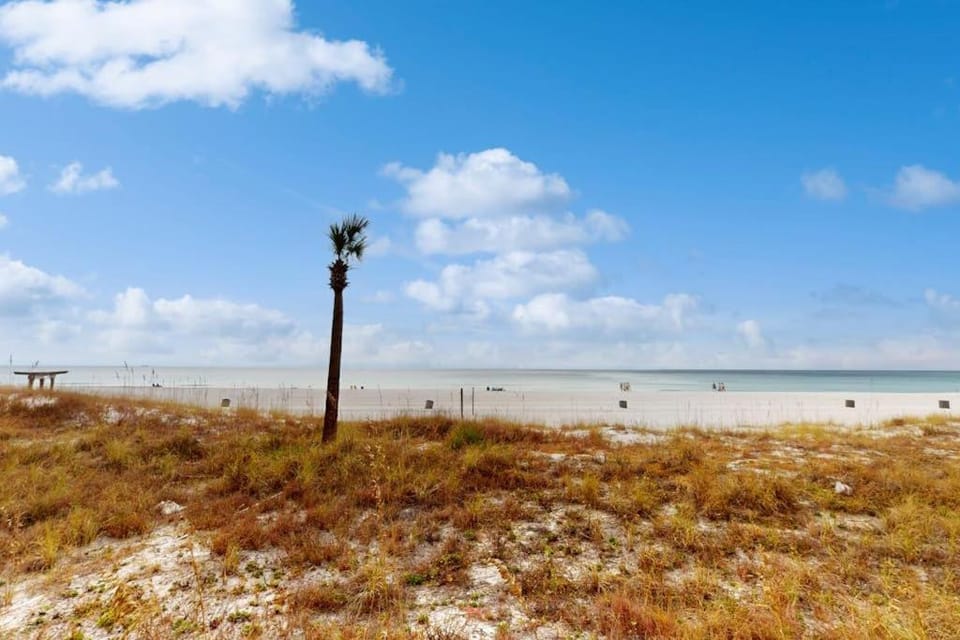 Sunbird E709 House in Panama City Beach
