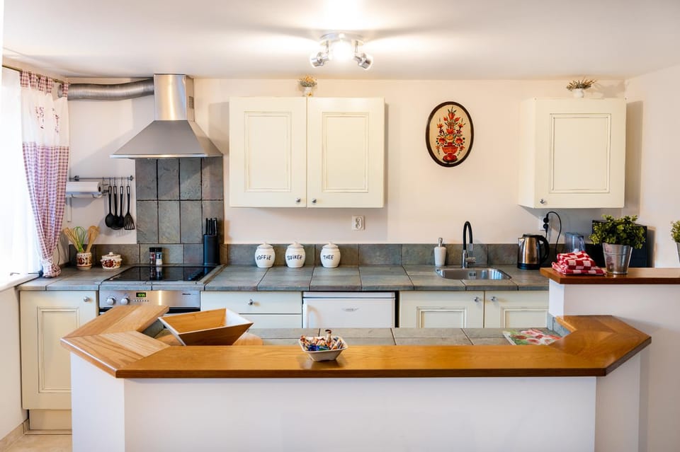 Kitchen or kitchenette, dishwasher, stove