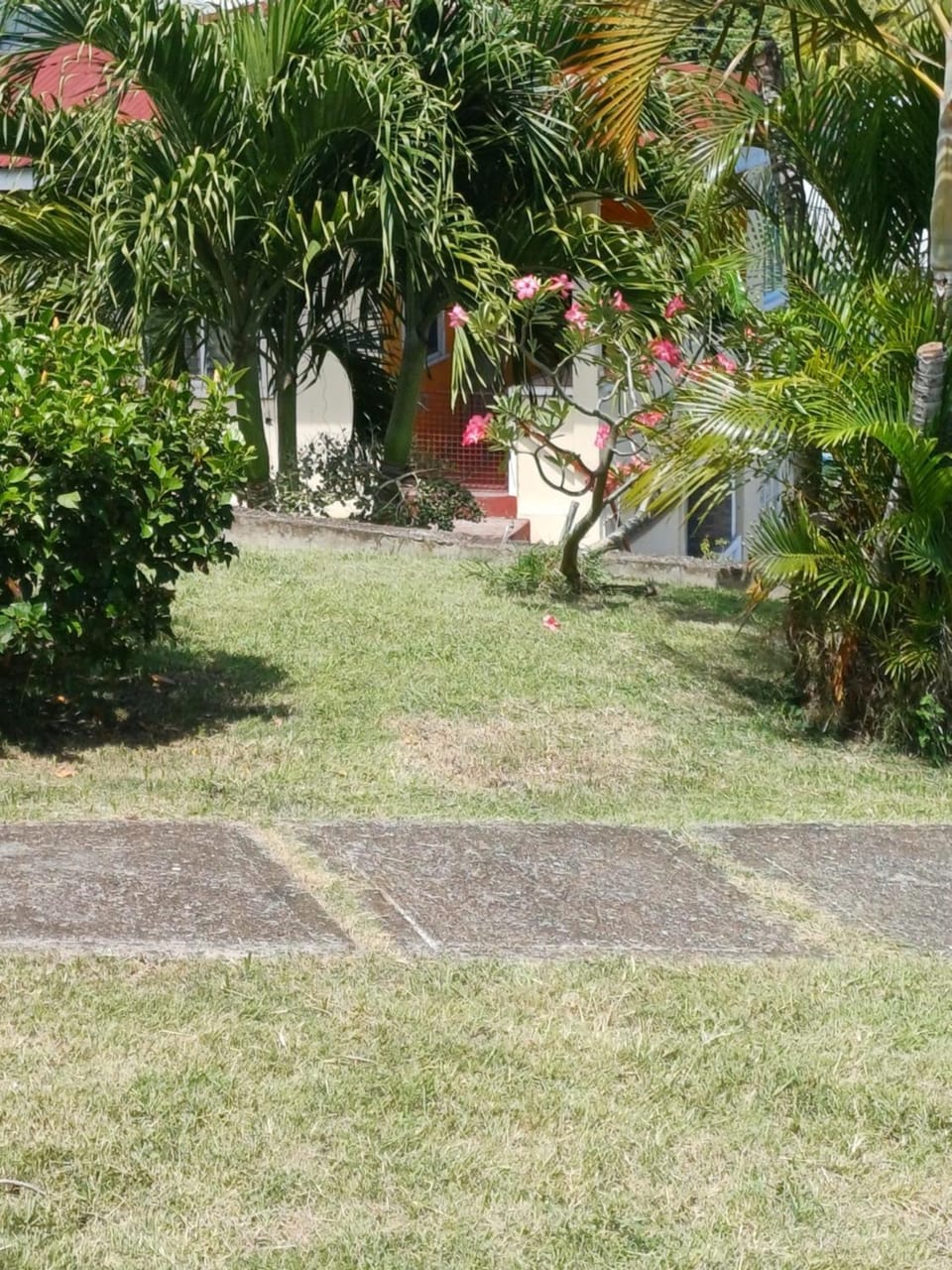 Garden, Garden view