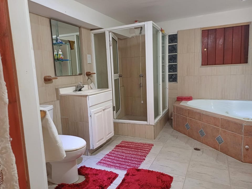 Shower, Toilet, Bathroom, towels