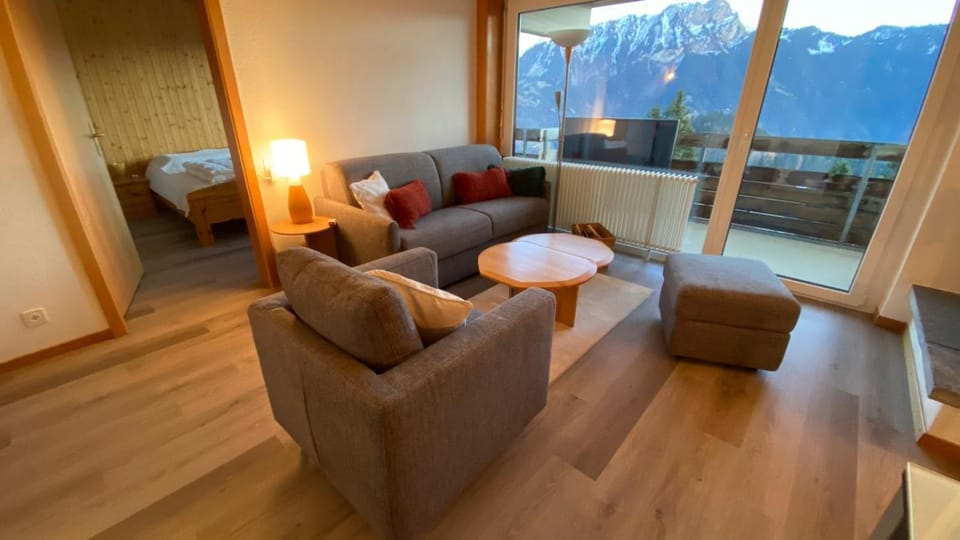 Roc d'Orsay D36 Apartment in Haute-Savoie