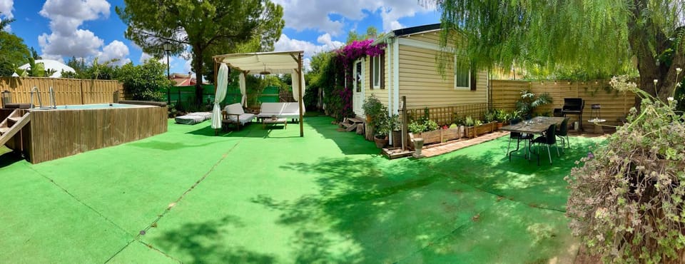 Spring, Garden, Garden view