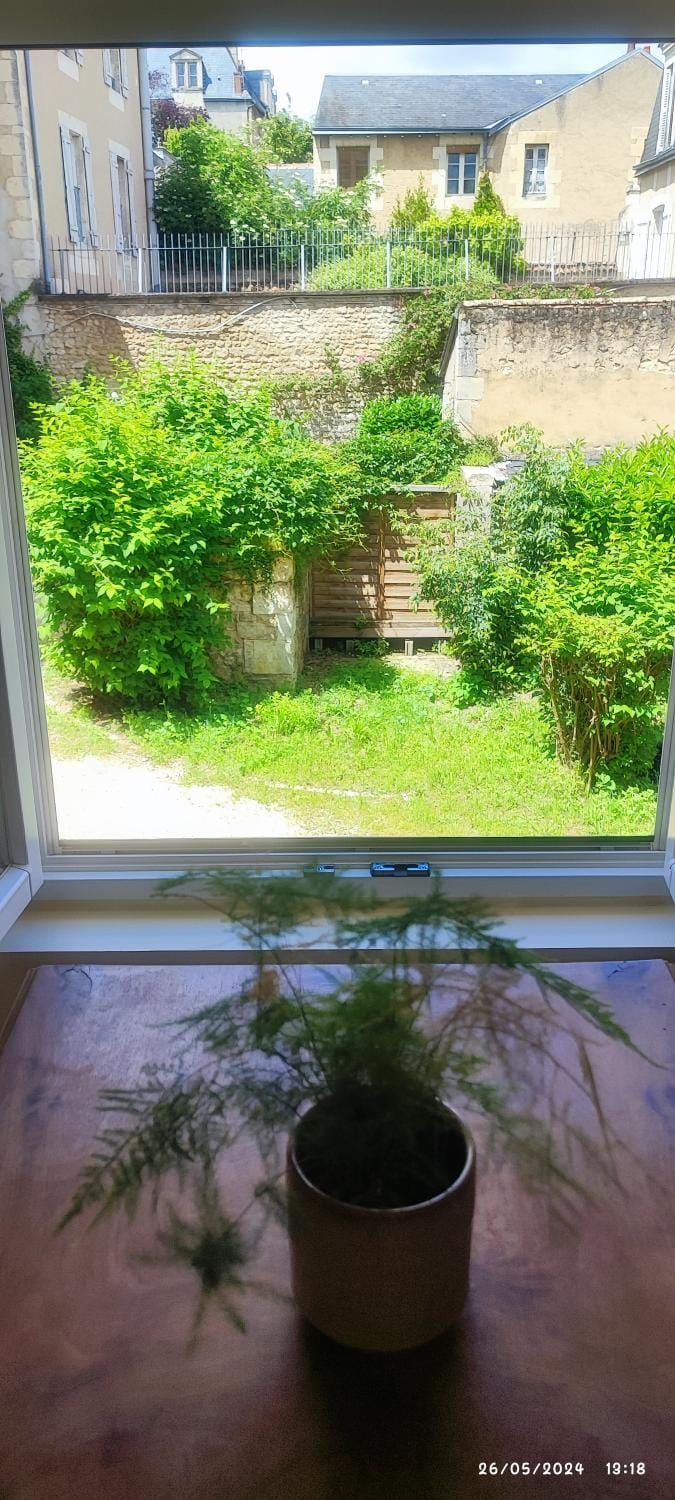 Le CocoOn Doré Apartment in Poitiers
