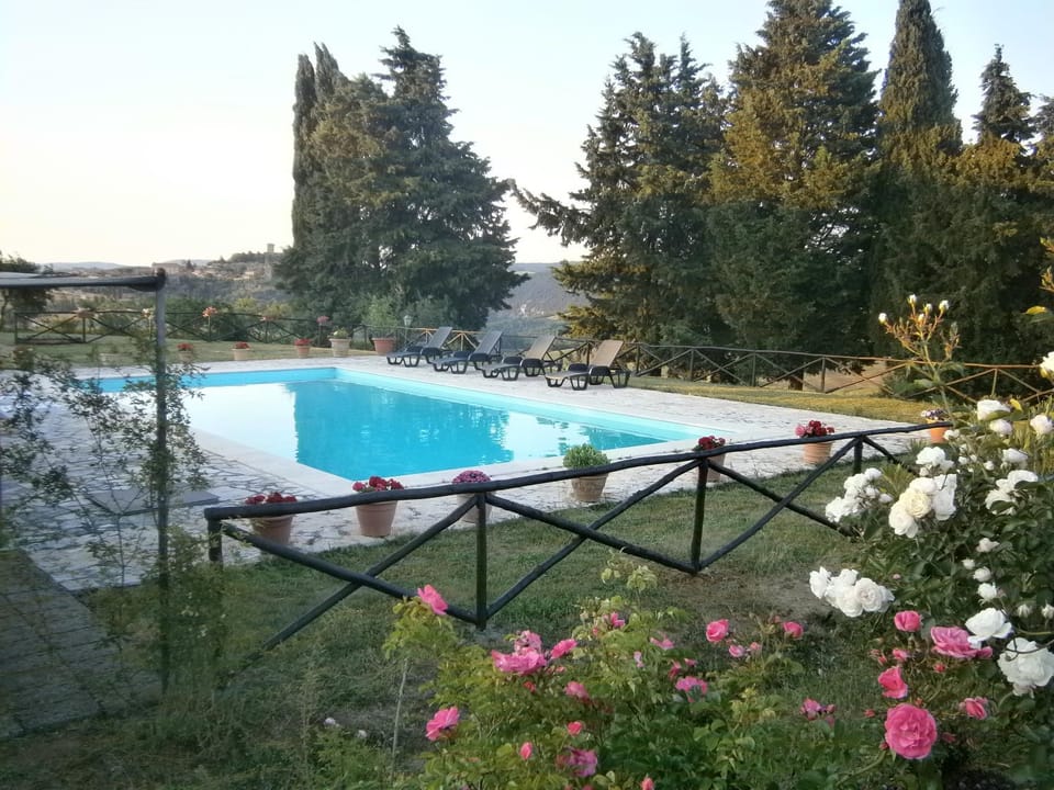 Pool view