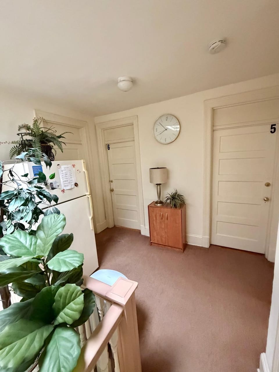 Property building, Internal: Not applicable to any particular room