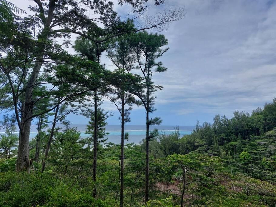 Sea view