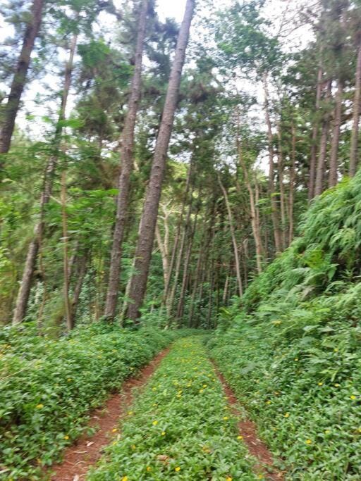 Hiking