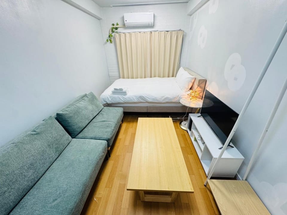 Bed, TV and multimedia, Living room, Photo of the whole room, Seating area, Bedroom, air conditioner