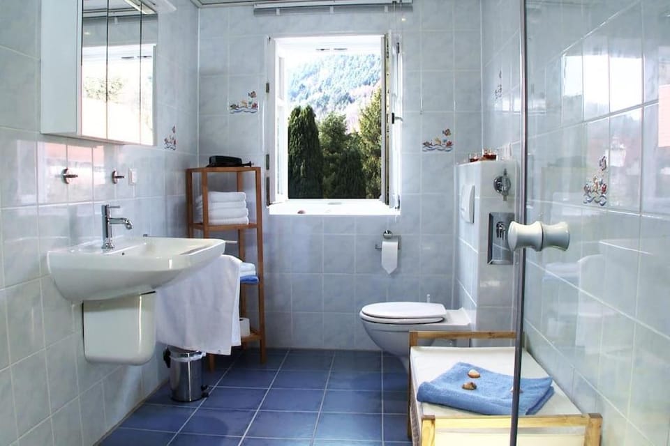 Shower, Toilet, Bathroom, towels