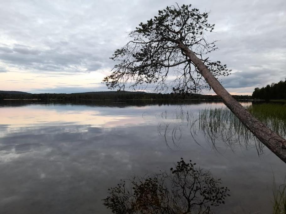 Uusi hirsimökki 7 henkilölle Villa in Lapland