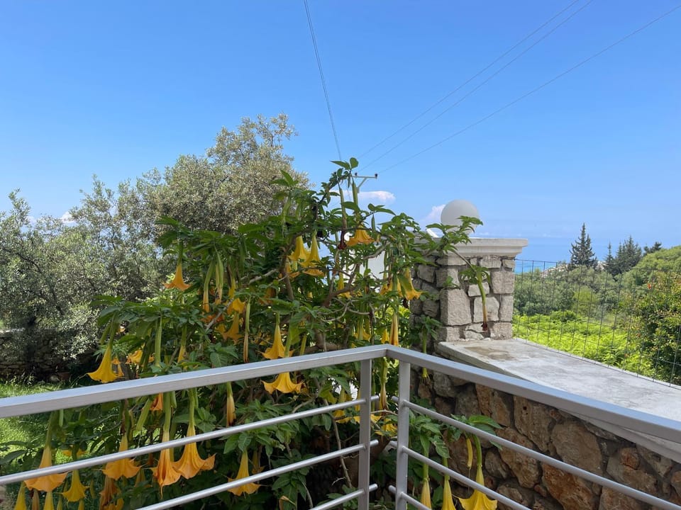 Season Inn Hotel in Vlorë County, Albania