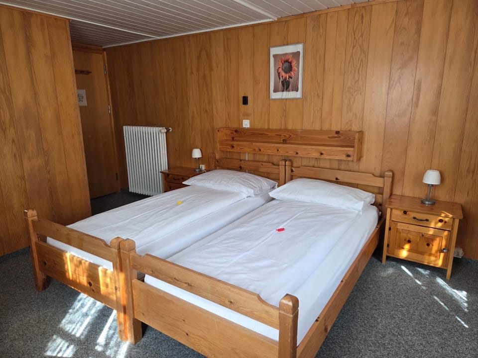 Hotel Aletsch Hotel in Canton of Valais