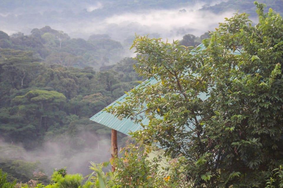 Day, Natural landscape, Mountain view