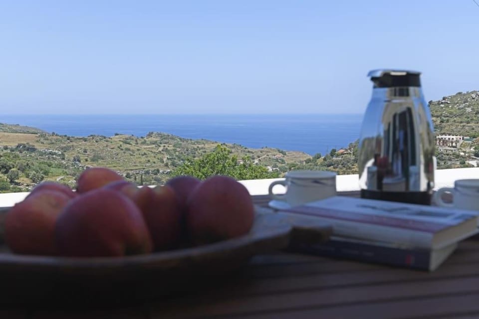 Food and drinks, Food