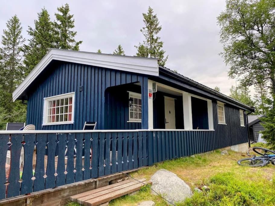 Property building, Day